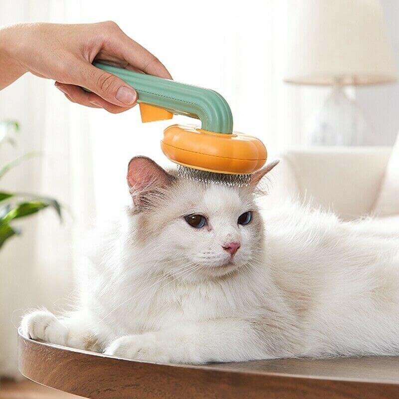 Cat Pumpkin Brush-Grooming Self Cleaning Slicker