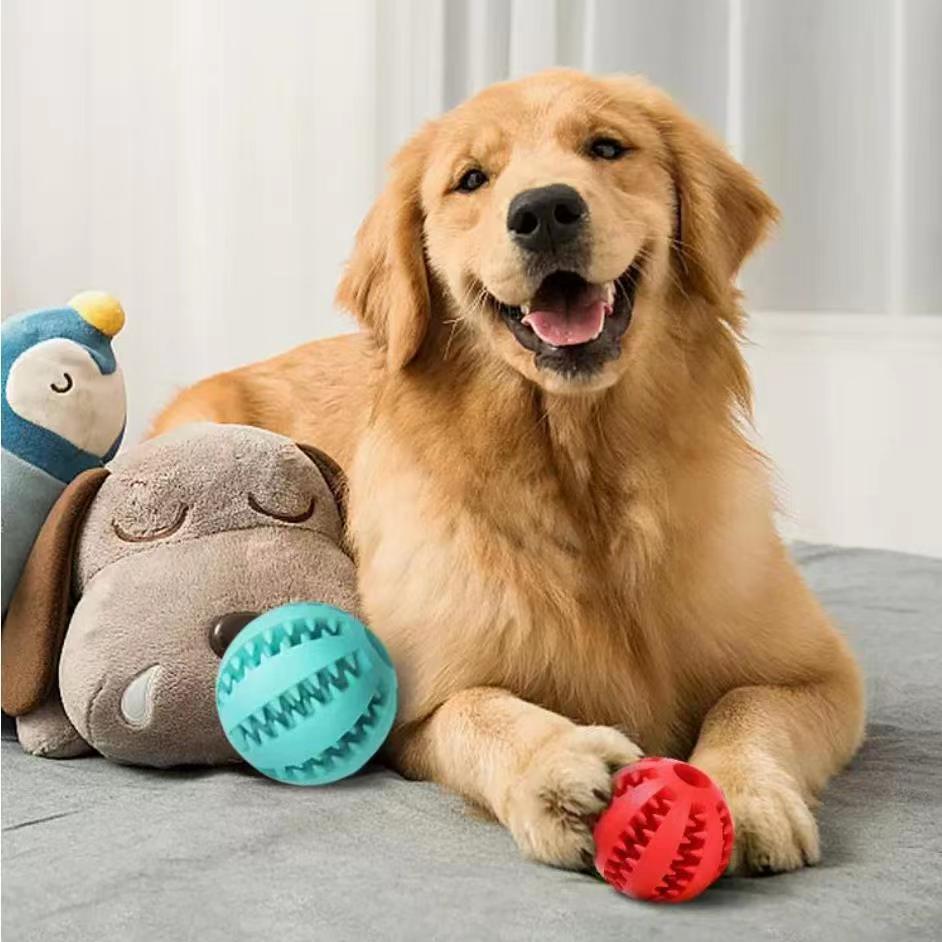 Toys & Fun