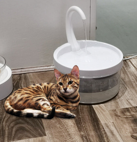 Automatic Pet Drinking Fountain