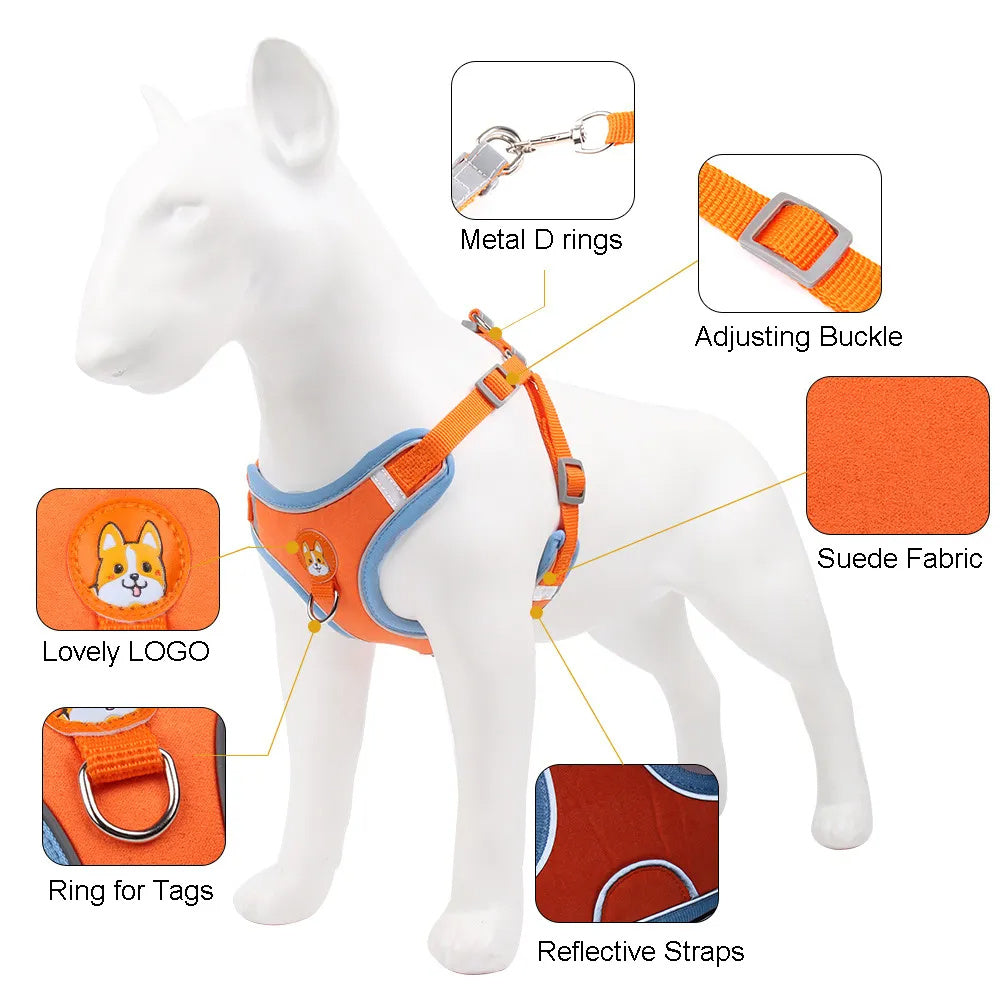 Adjustable Pet Harness and Leash Set – Reflective And No Pull