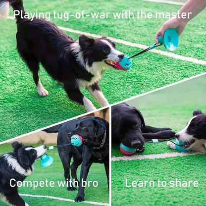Interactive Suction Cup Dog Toy – Treat Dispenser & Chew Toy for Power Chewers