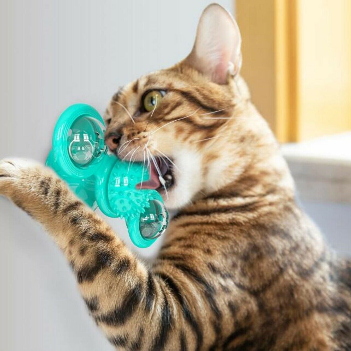 Cat Windmill Spinner Toy – Rotating Catnip Toy with Suction Cup & Dental Ball