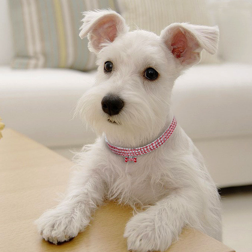 Bling Rhinestone Pet Collar