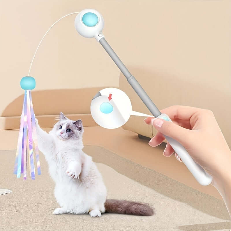 Cat Teaser Stick Toy